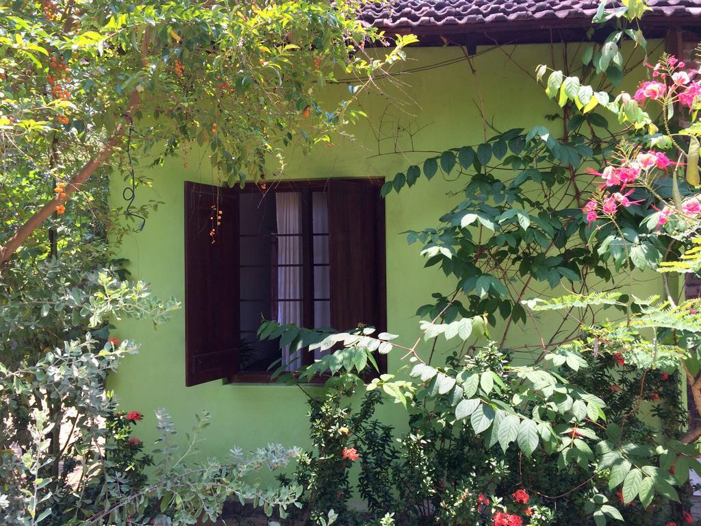 Hotel Surf & Yoga Arugam Bay Pokoj fotografie