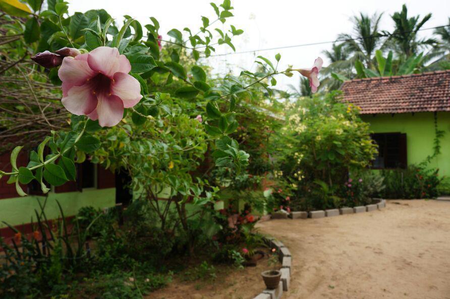 Hotel Surf & Yoga Arugam Bay Exteriér fotografie